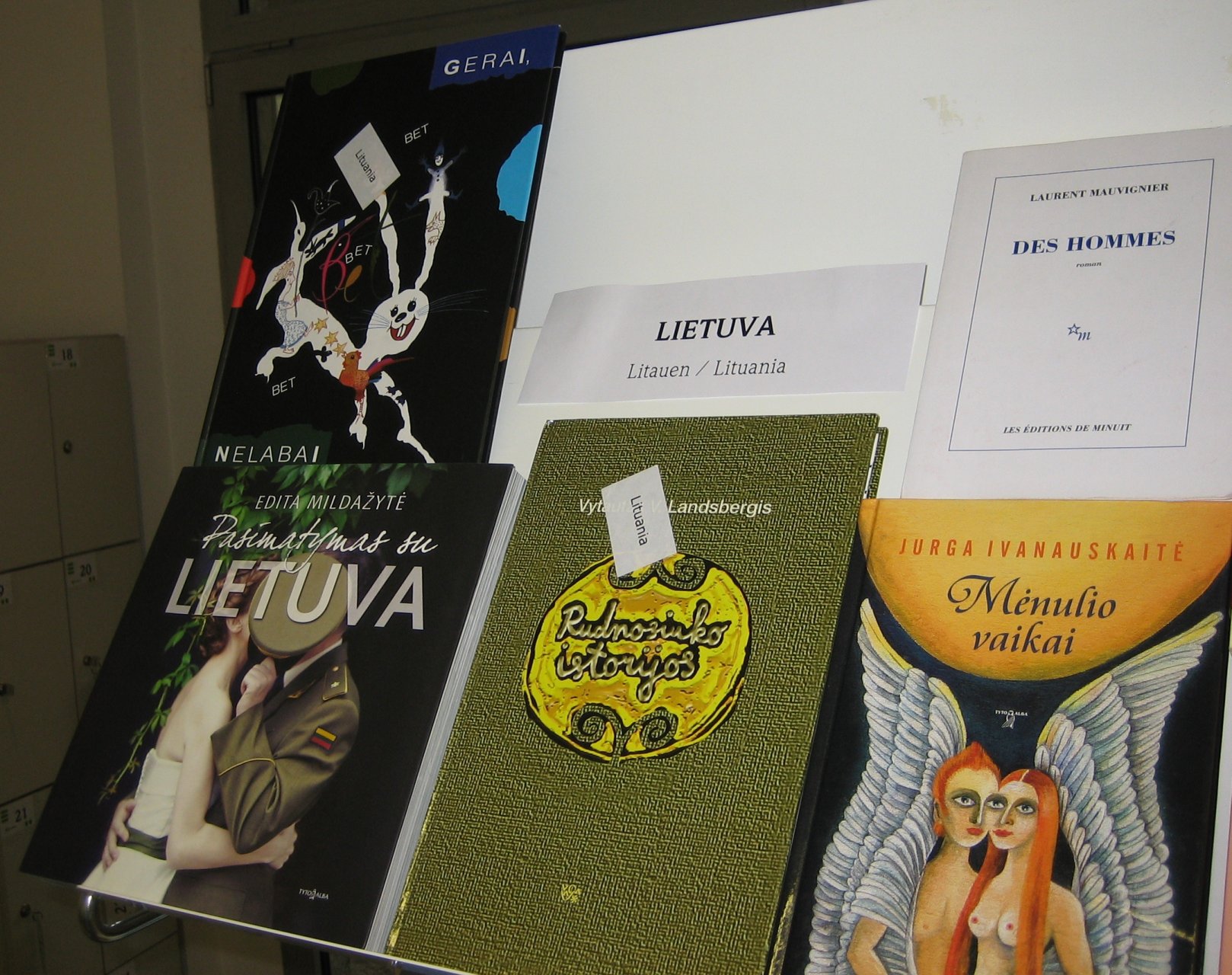 Per Europos kalbų dienos šventę Lietuvos ambasada Ispanijoje pateikė knygų lietuvių kalba, kurios buvo siūlomos knygų mainų programos dalyviams.